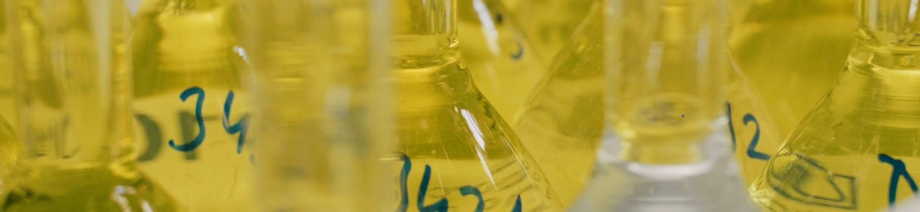 Analitika 2 Analitika 2