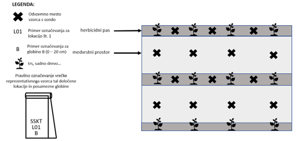 Shema vzorčenja na tleh mešane pokrovnosti